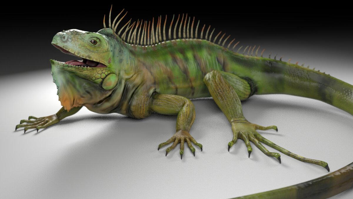 Моё 3D. Игуана