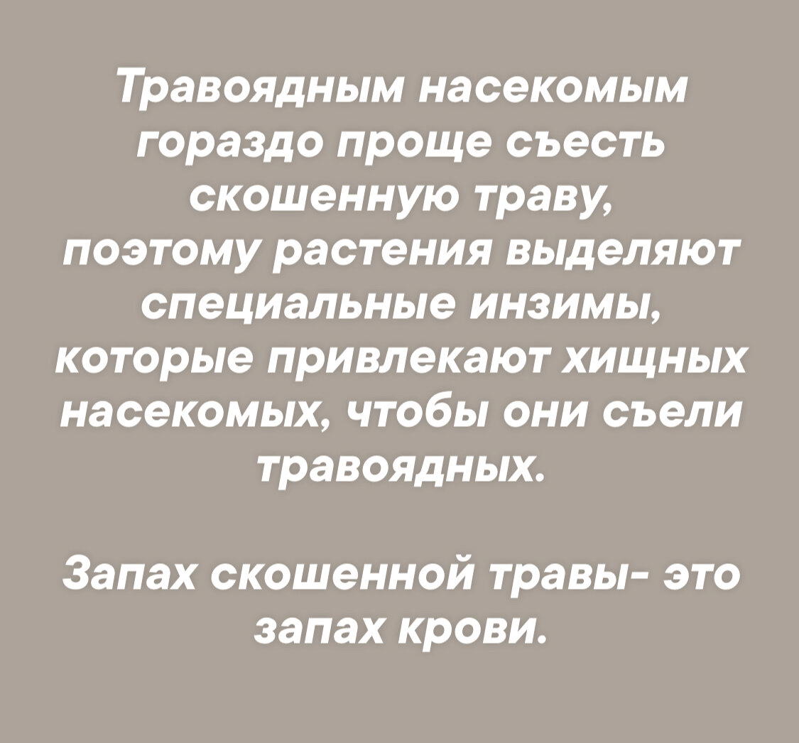 Из фильма «Мадам Парфюмер»