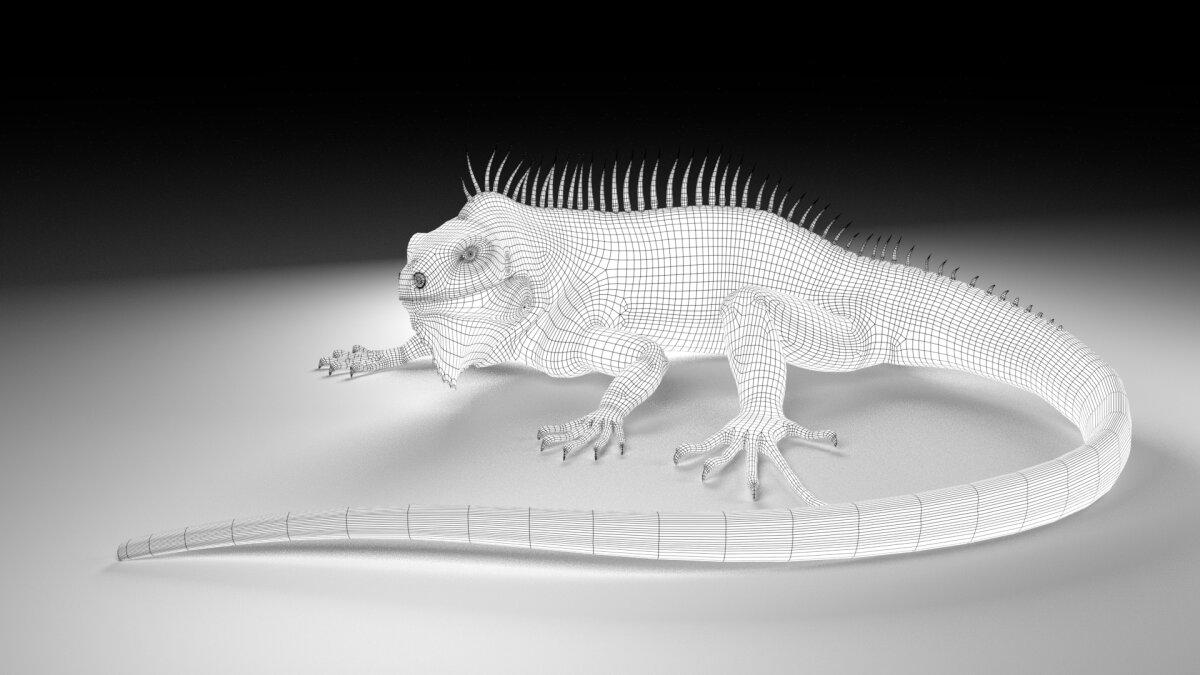 Моё 3D. Игуана