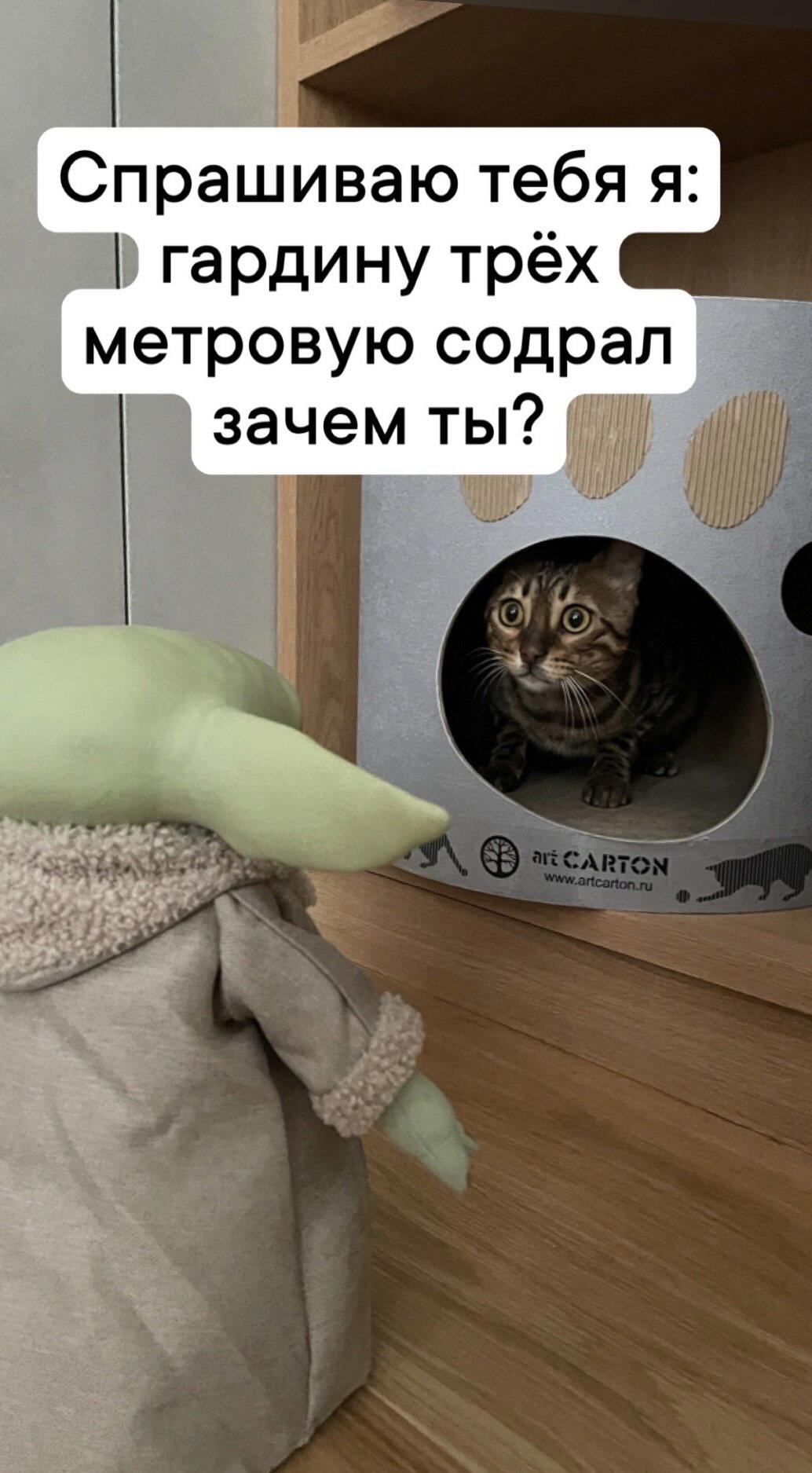 СтарКэтс, котоверсия Люка Скайукера оправдывается, за прыжок в гиперпространство на занавески…