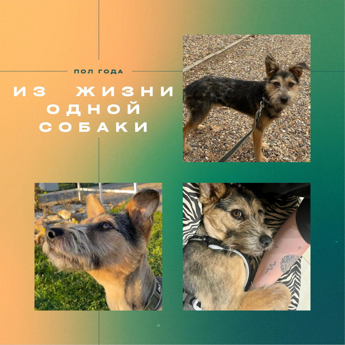 Время отличных историй!
