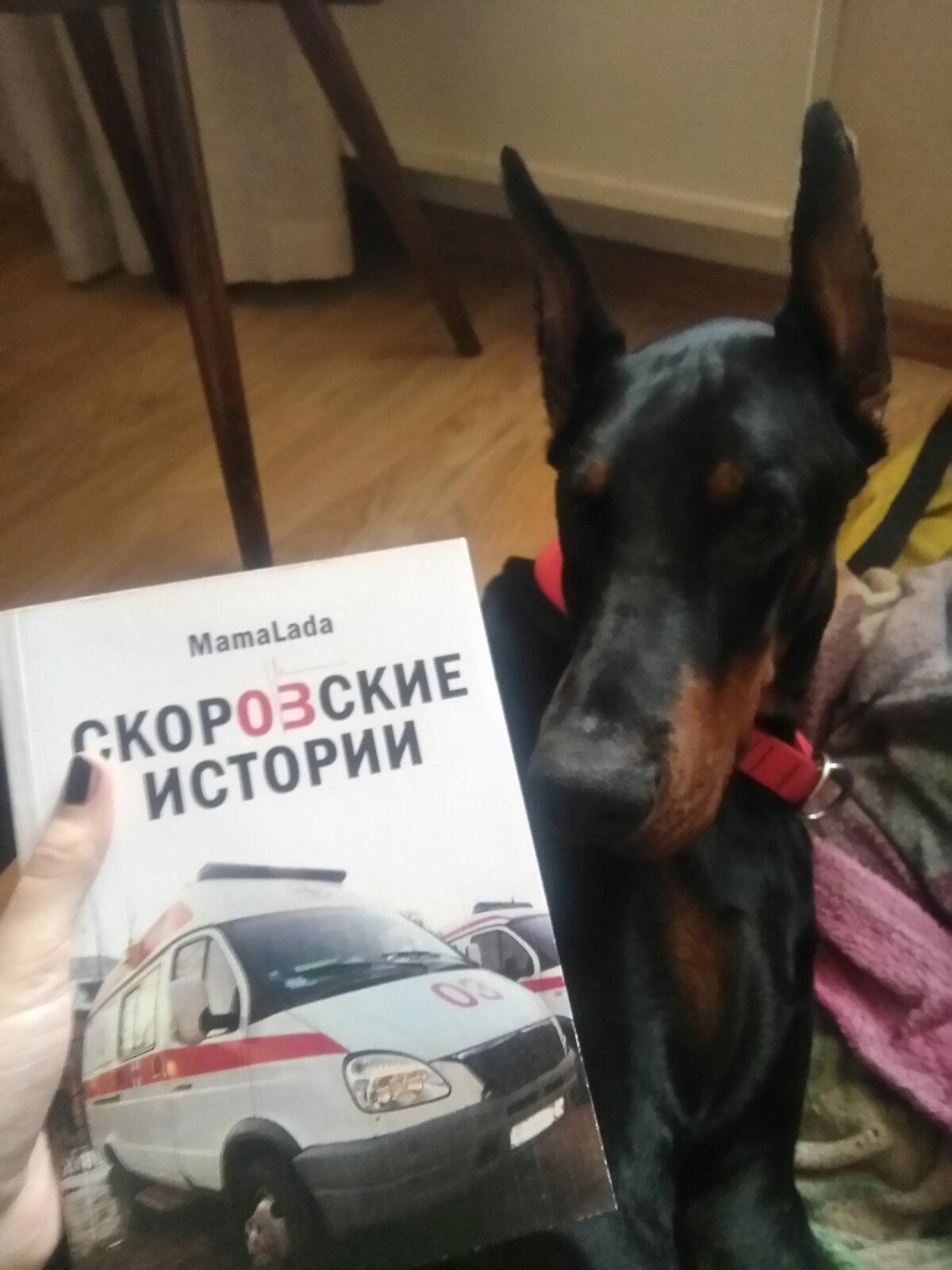 Светлая #60