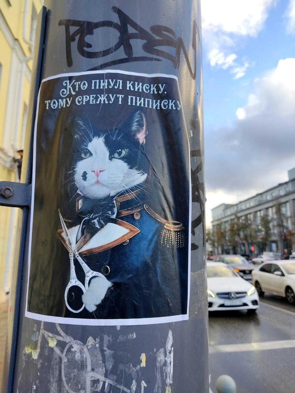 Кто пнул киску?