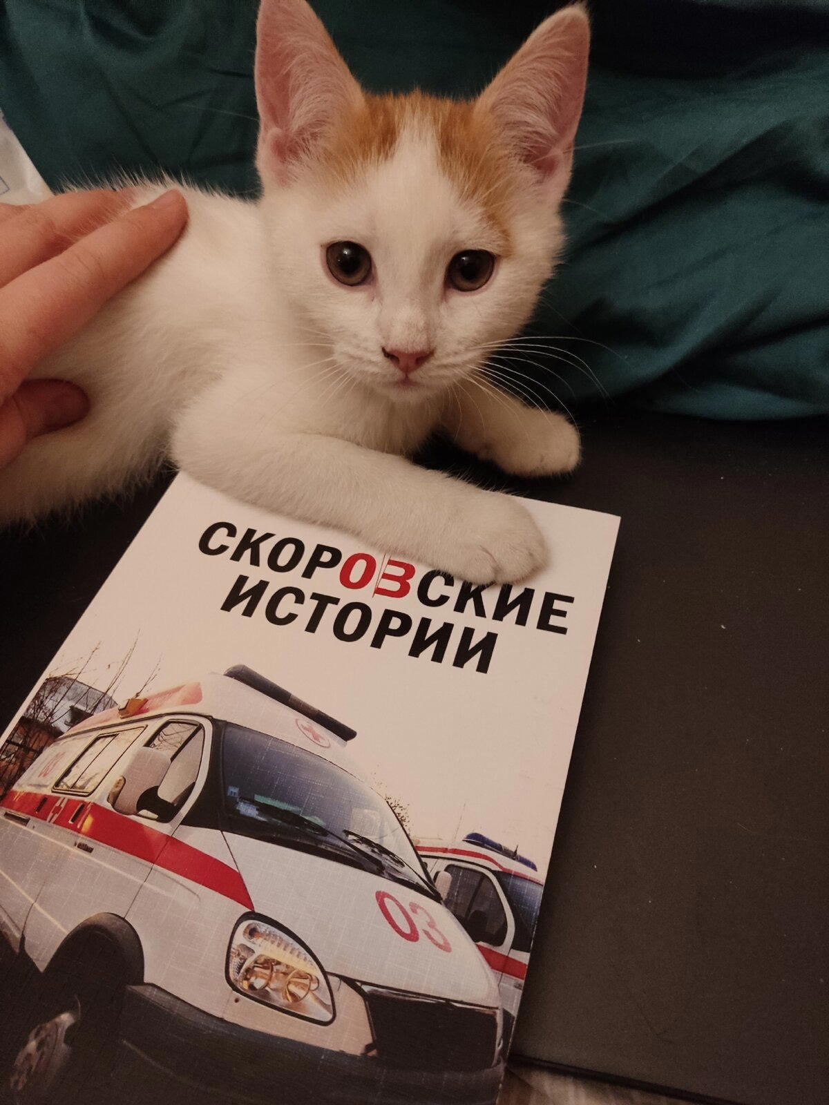 Скоровские истории #237: Просрочка