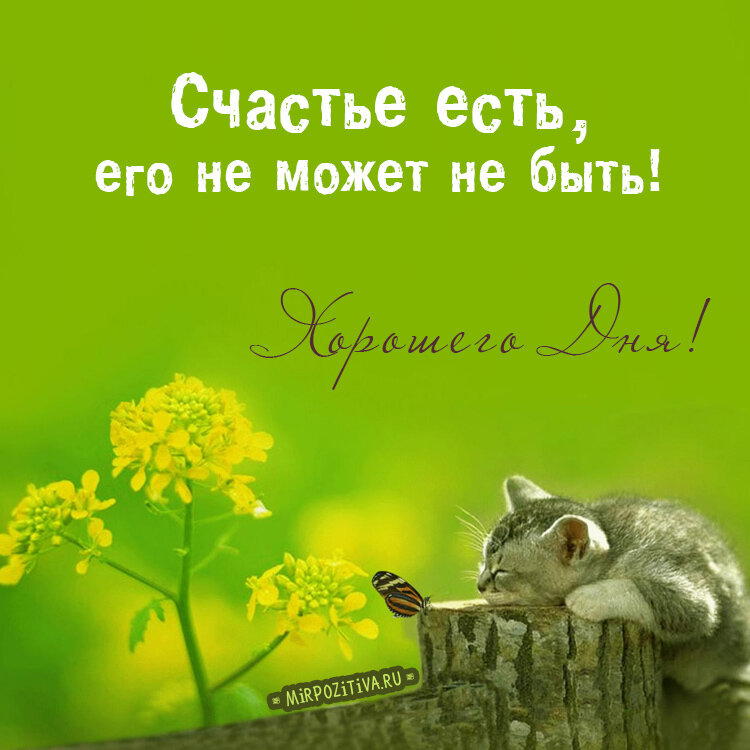 Добавляем седины. &quot;Бесплатно, без регистрации и СМС&quot;...