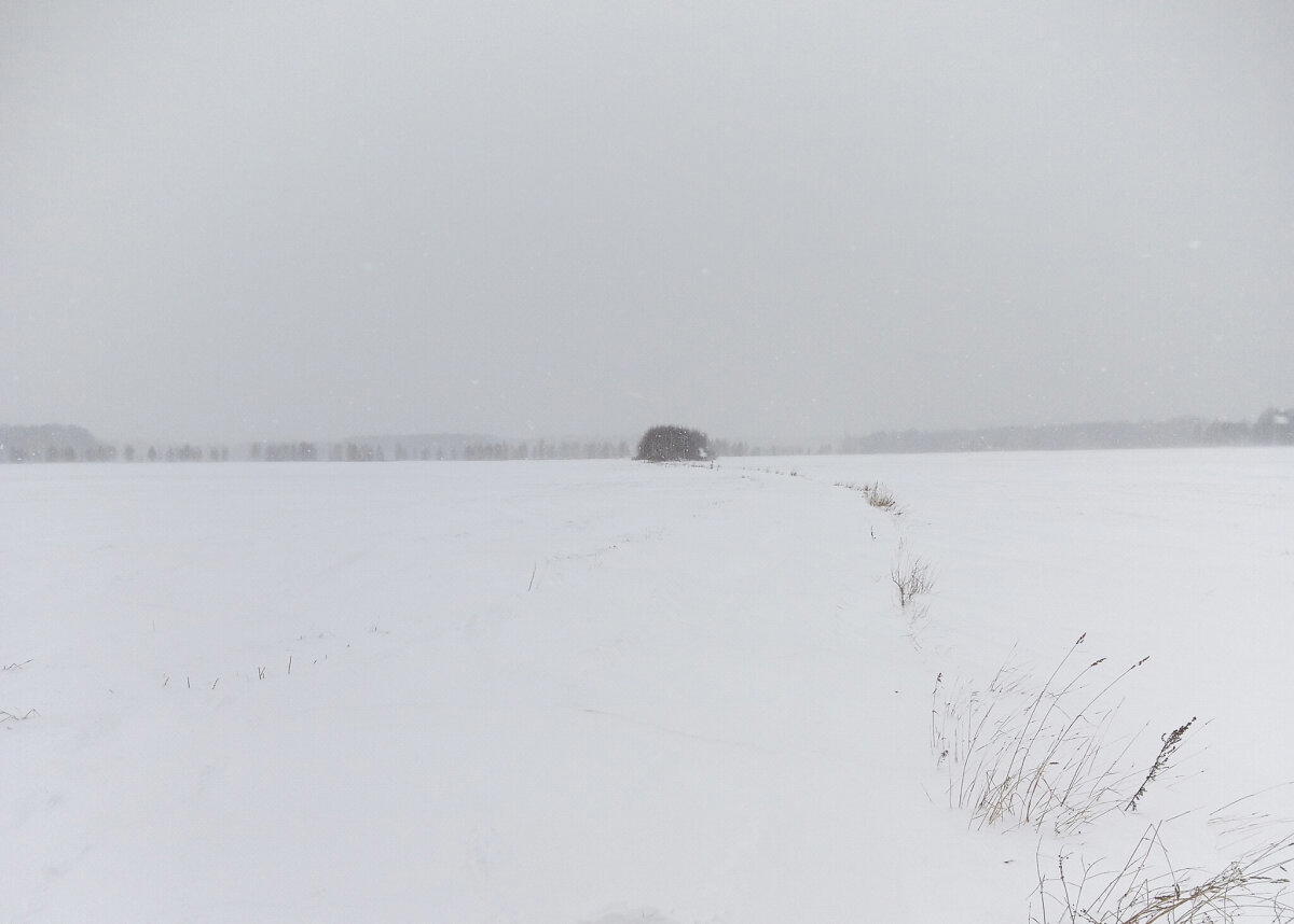 Зима в полях