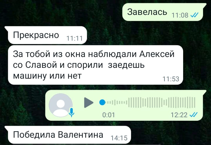 Люди нашего двора. Зрители