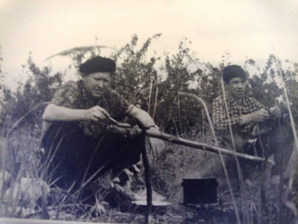 Монета