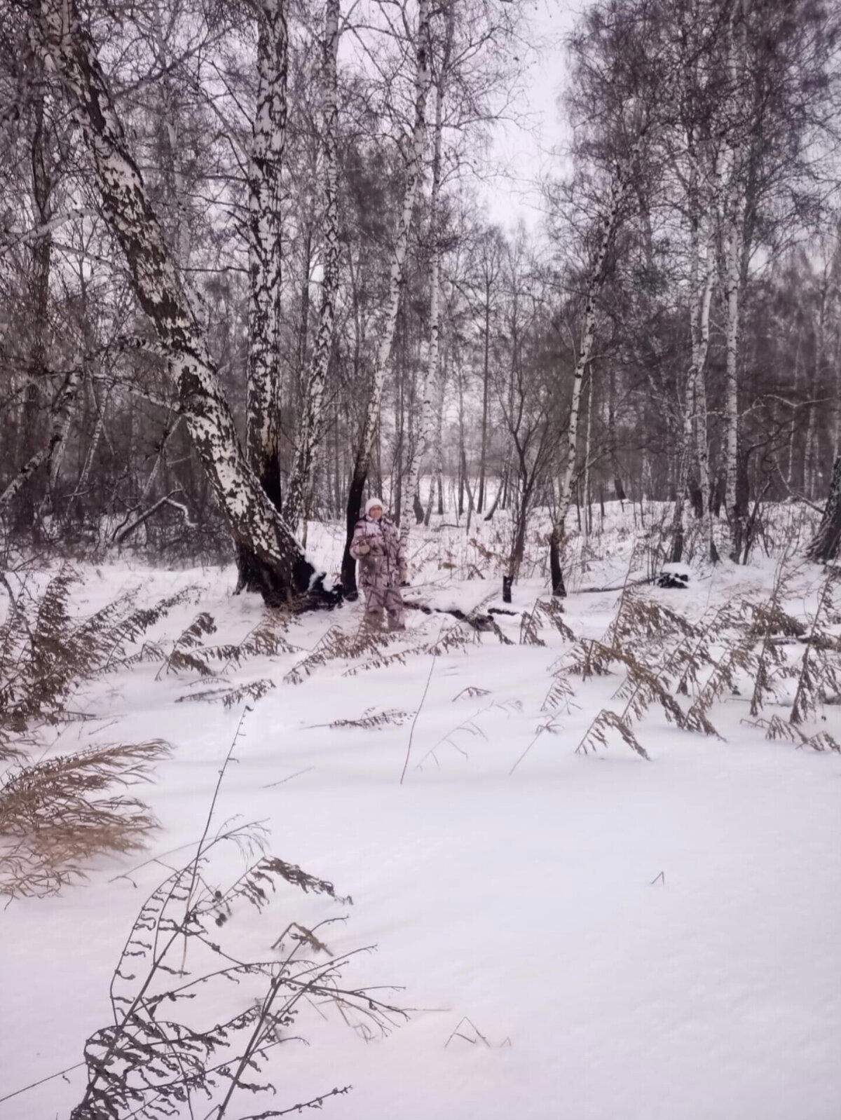 Зима в полях