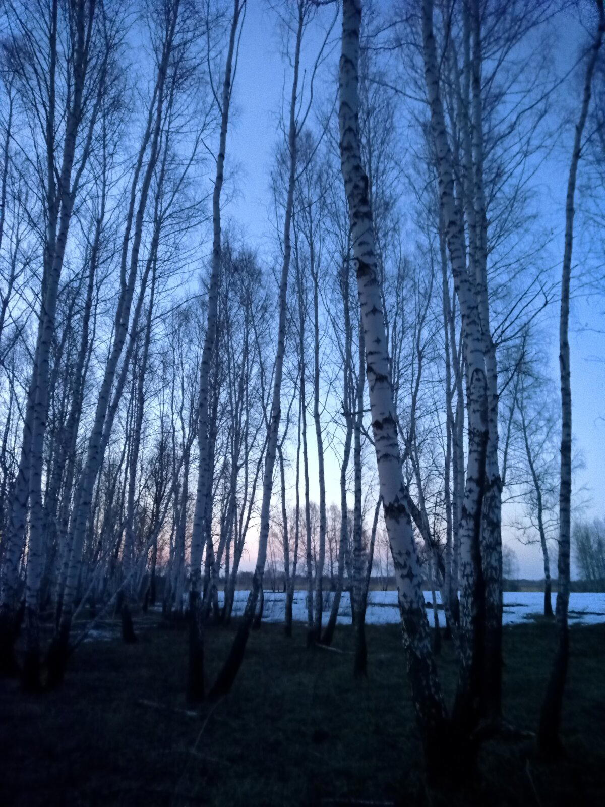 Сейчас