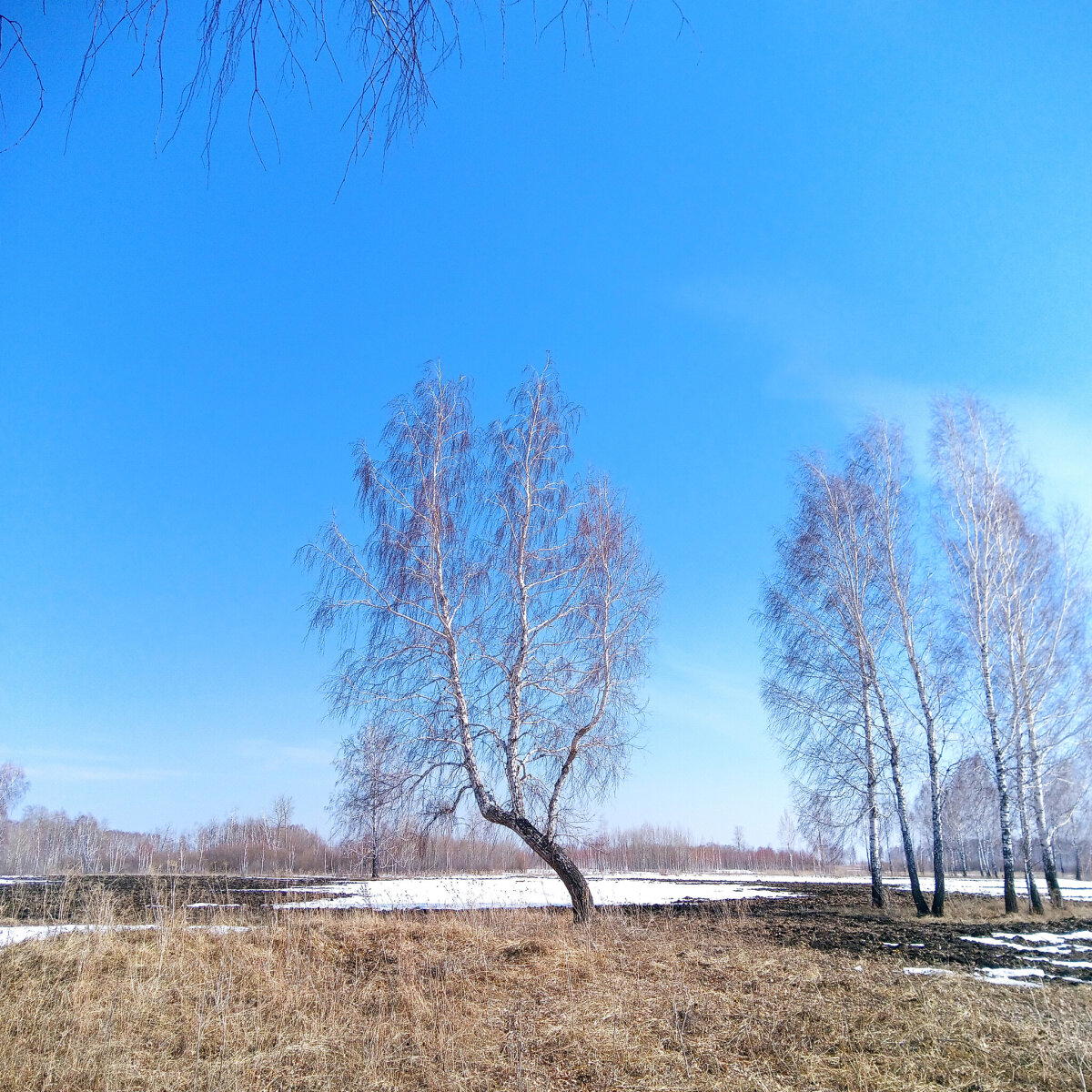 Потеплело и шулюм