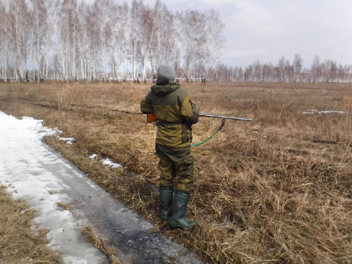 С охотничьих полей разных лет