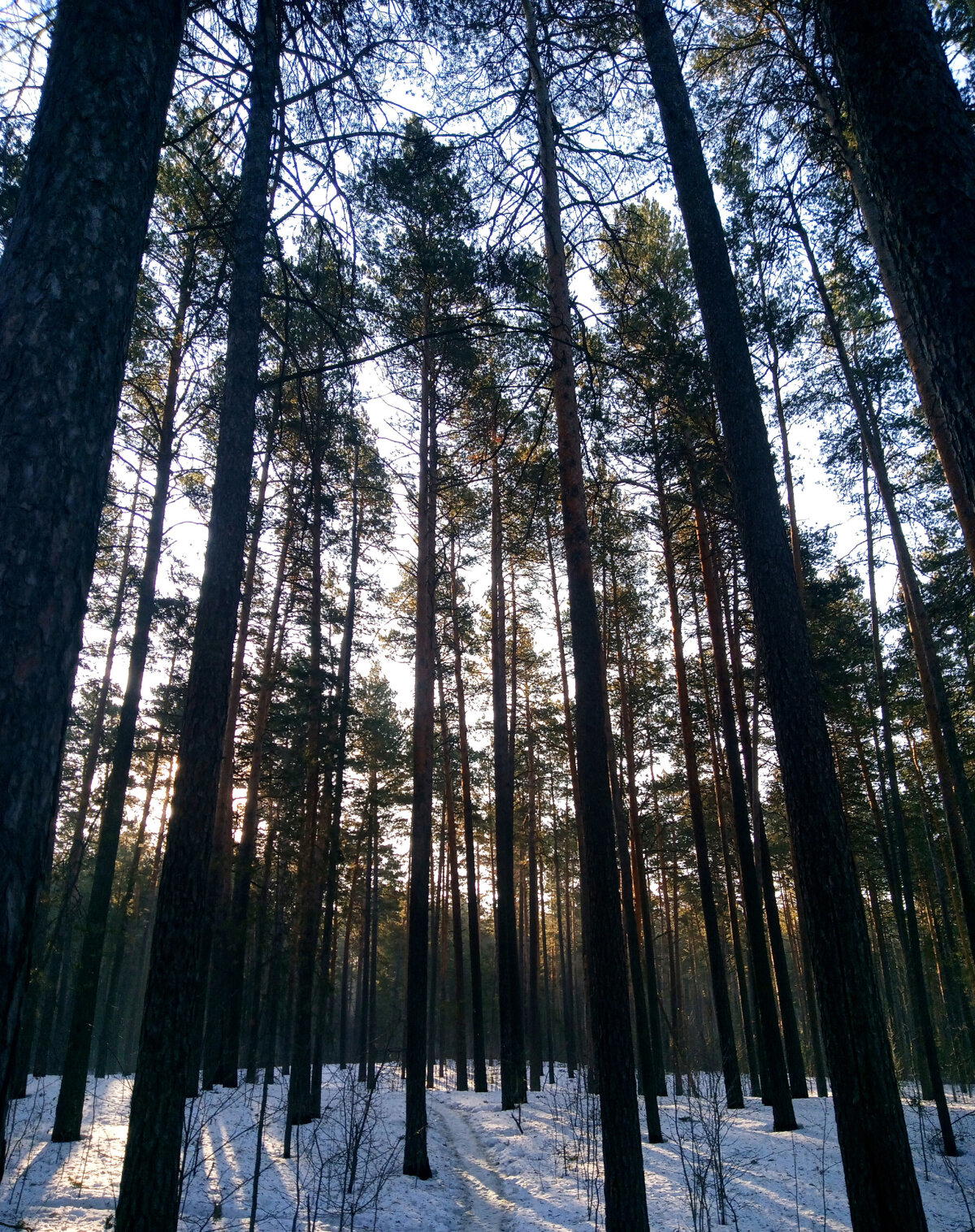Шевели задницей, Кира