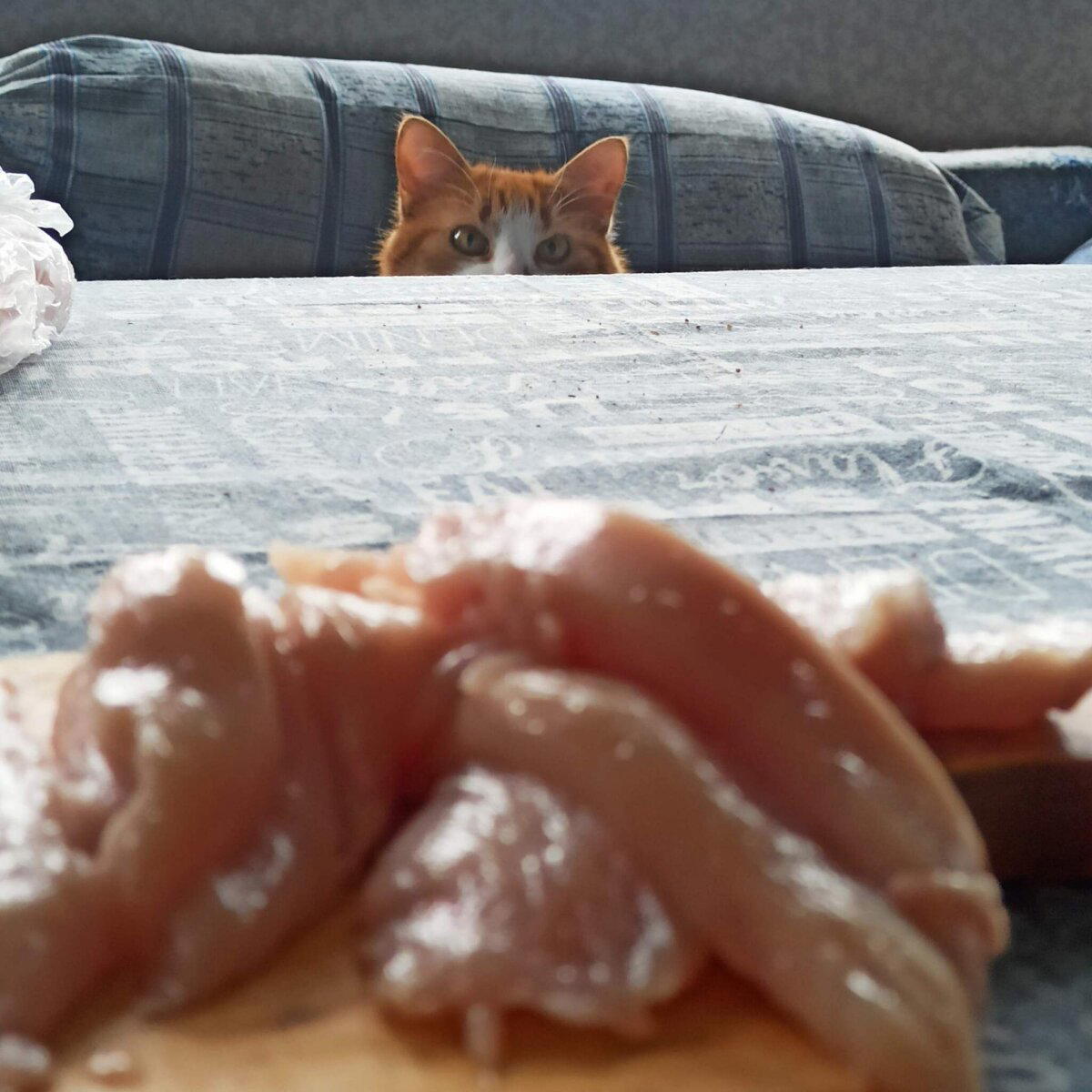 Режим охоты