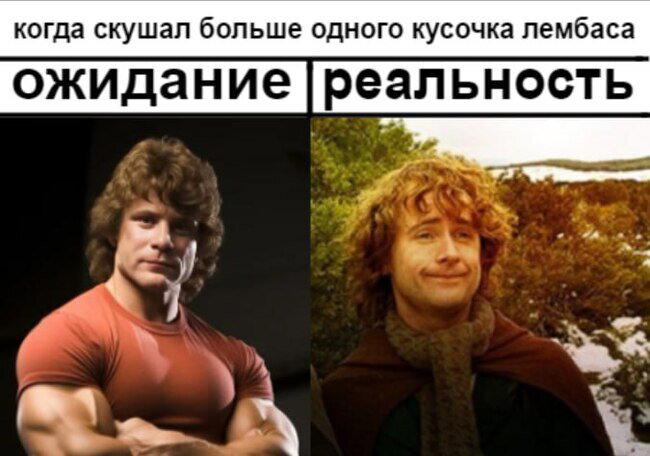 Ответ на пост «Протеиновый лембас в помощь»