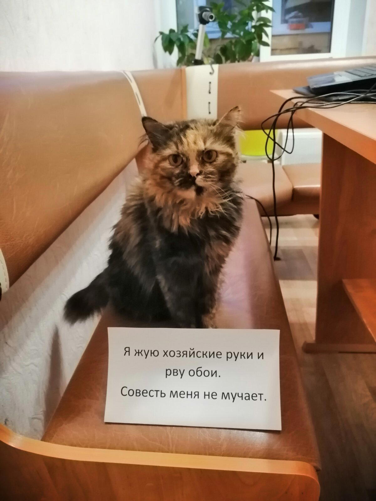 Преступница