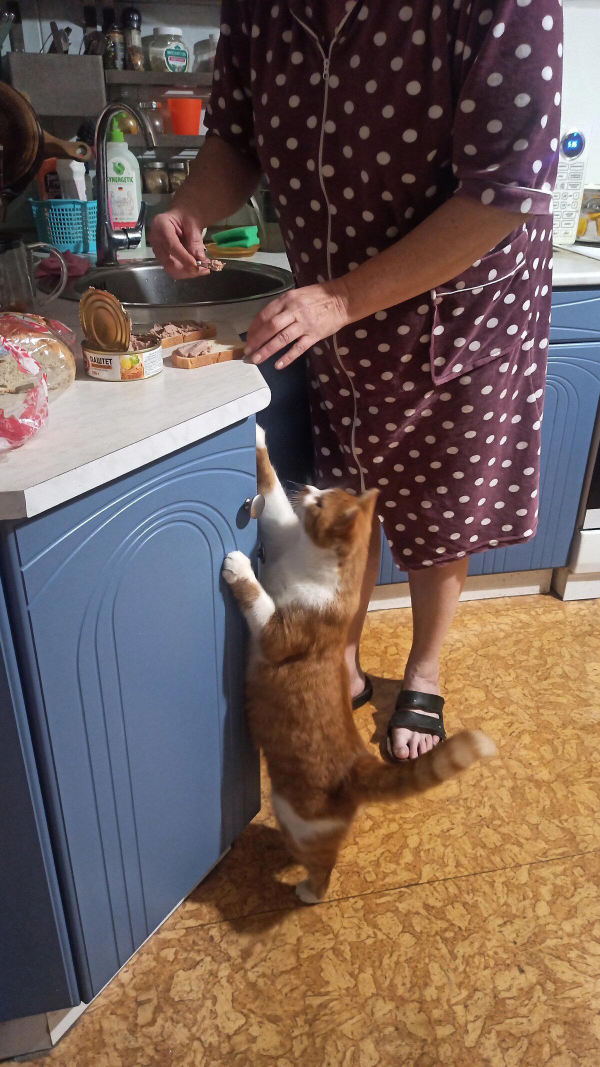 Вот и у меня тоже кот!