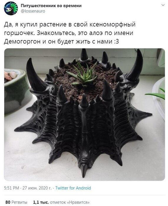 Пусть живёт?
