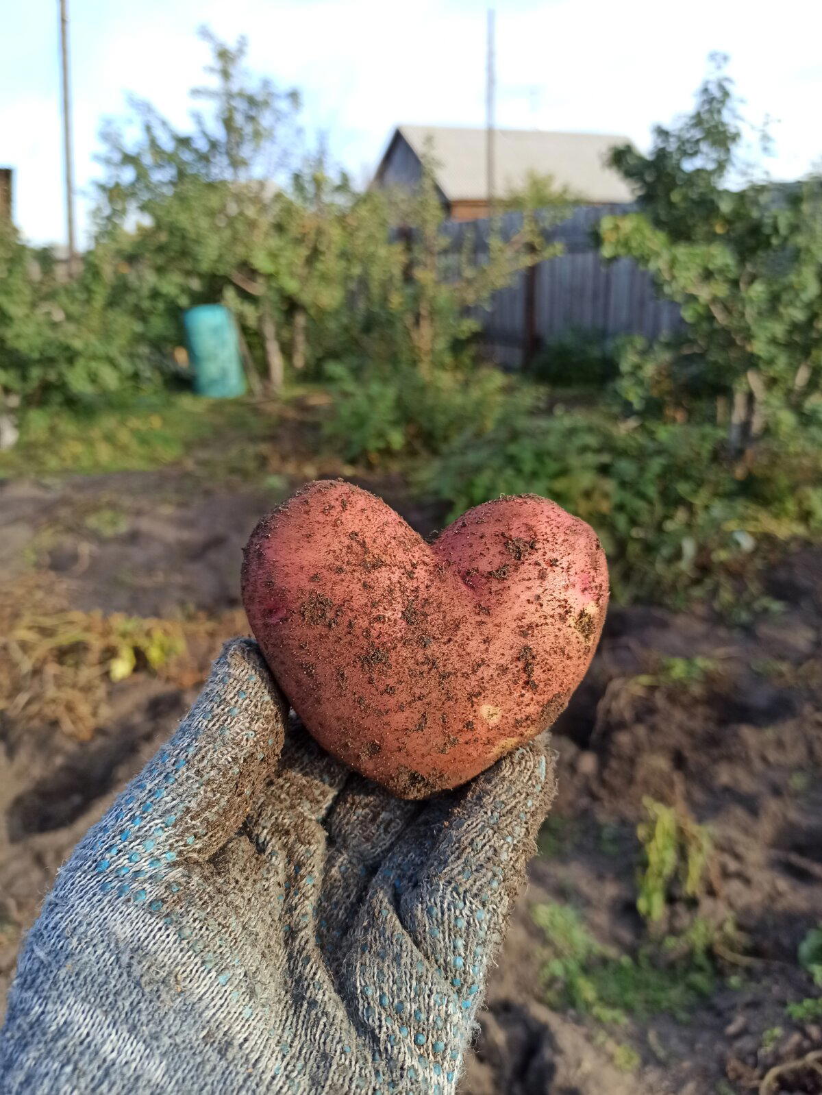 Счастливое событие!