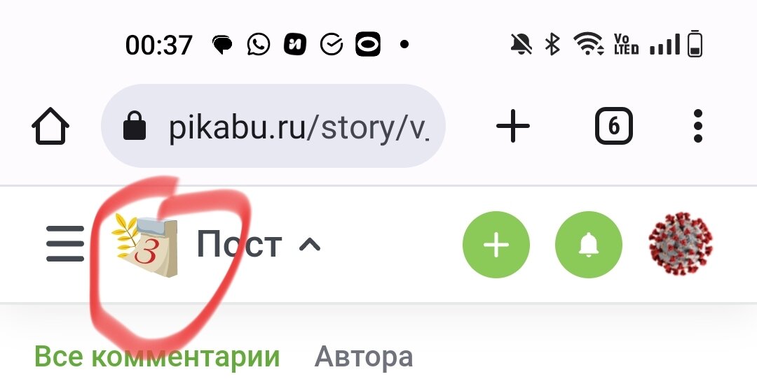О, пасхалочка приехала
