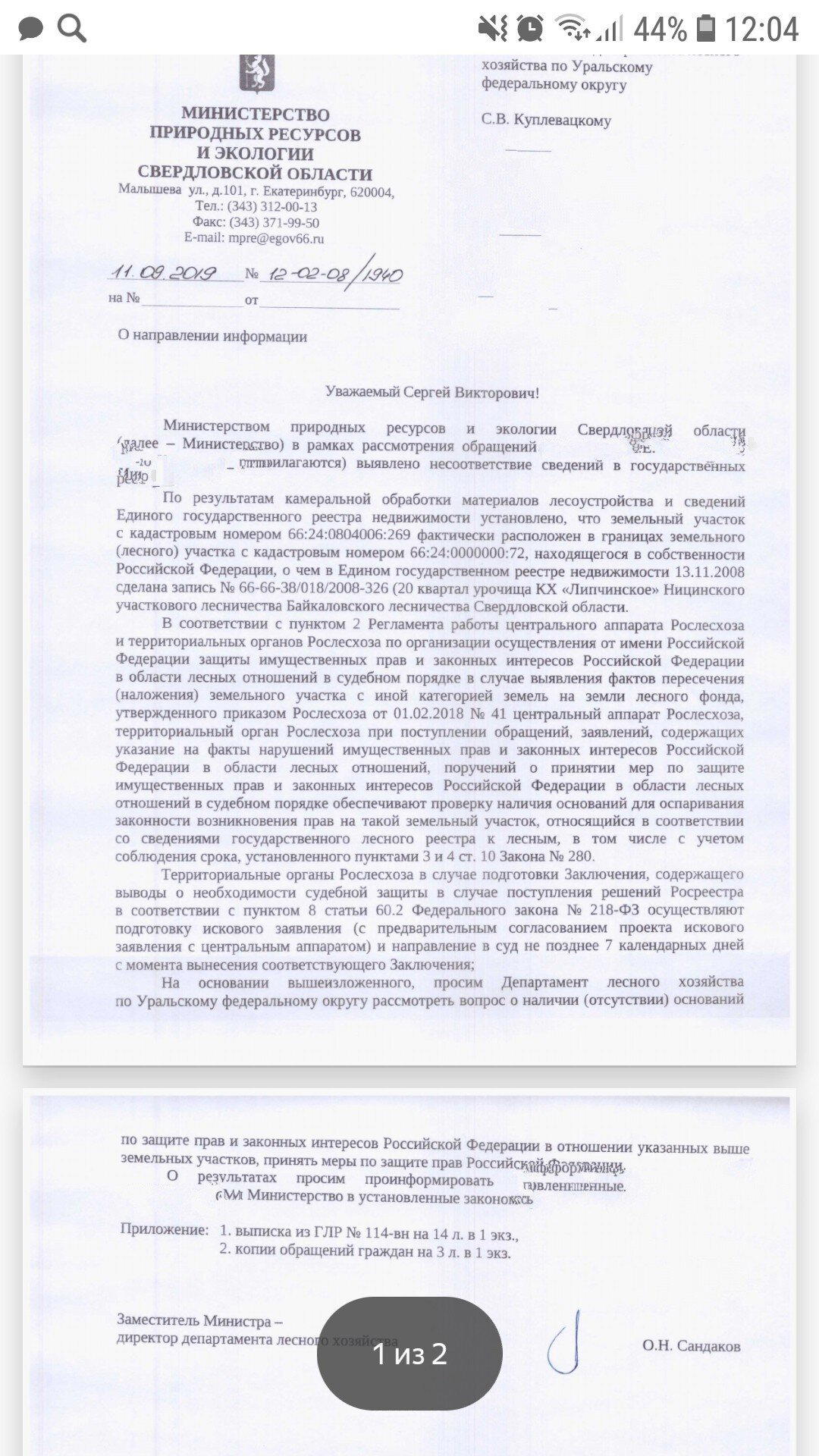 Мастерская среди леса и что из нее выходит