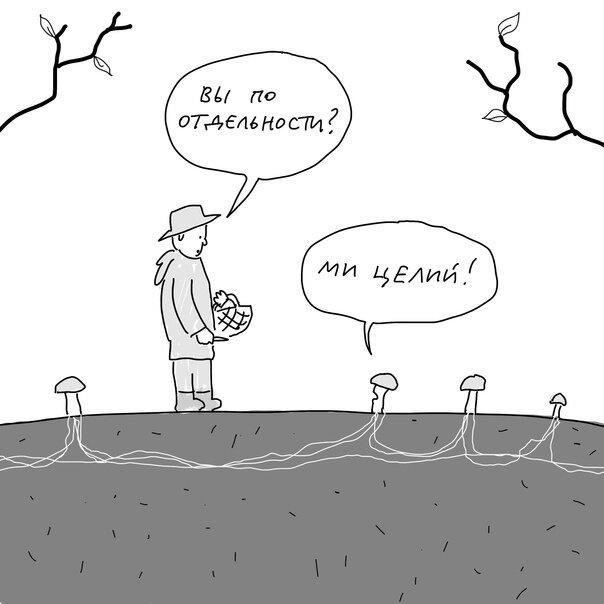 Что-то на грибном