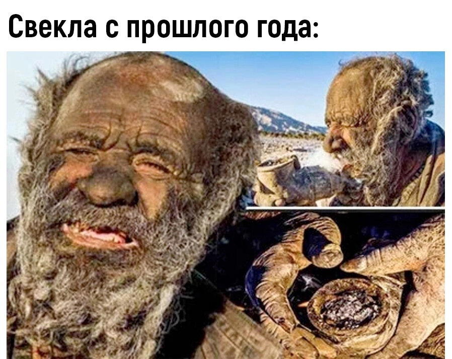 Охлаждающий шкаф для всего