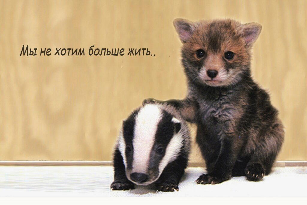 Планетарий