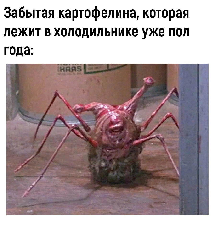 Охлаждающий шкаф для всего