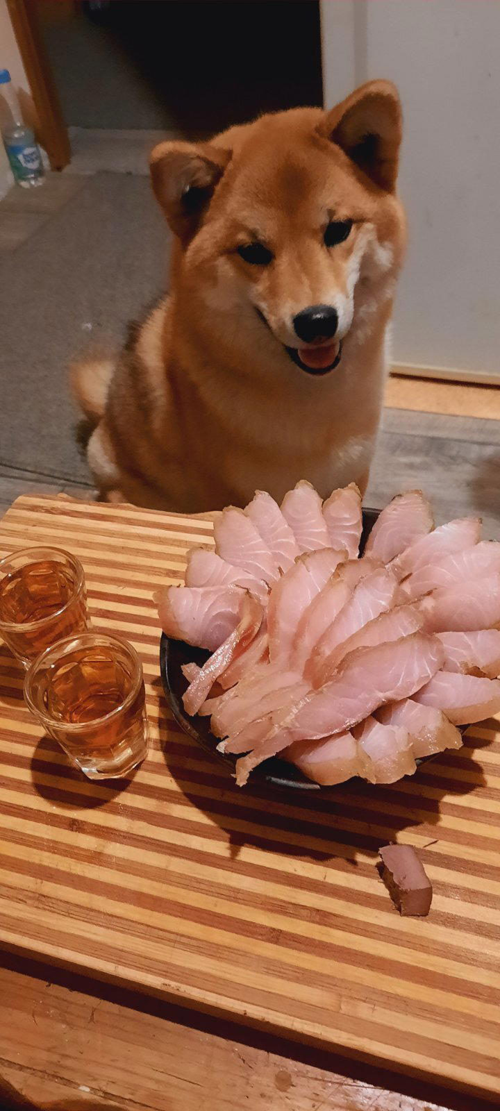 Хозяин, ну давай уже