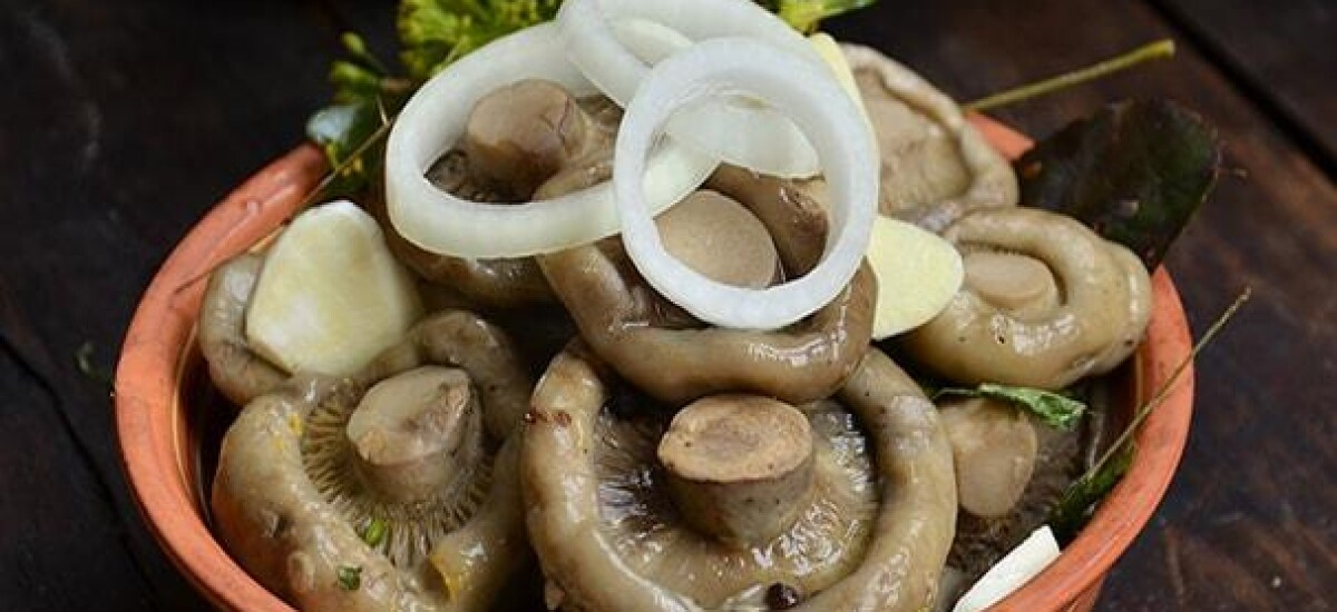 Краткая энциклопедия вкусняшек. Часть 1