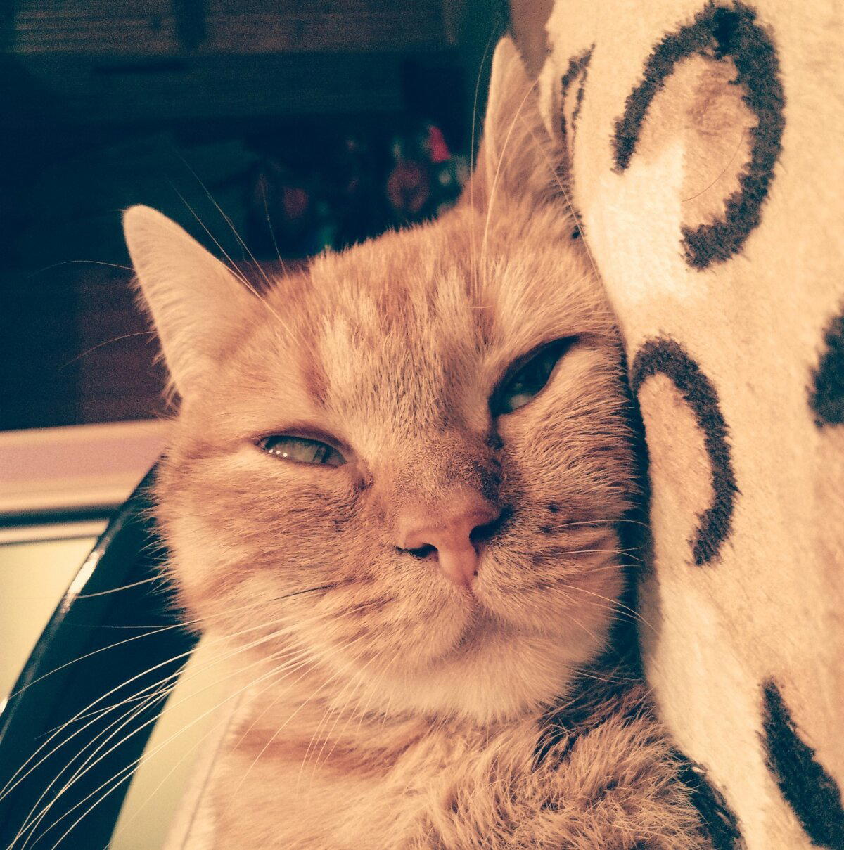 Вроде суббота, но на работу