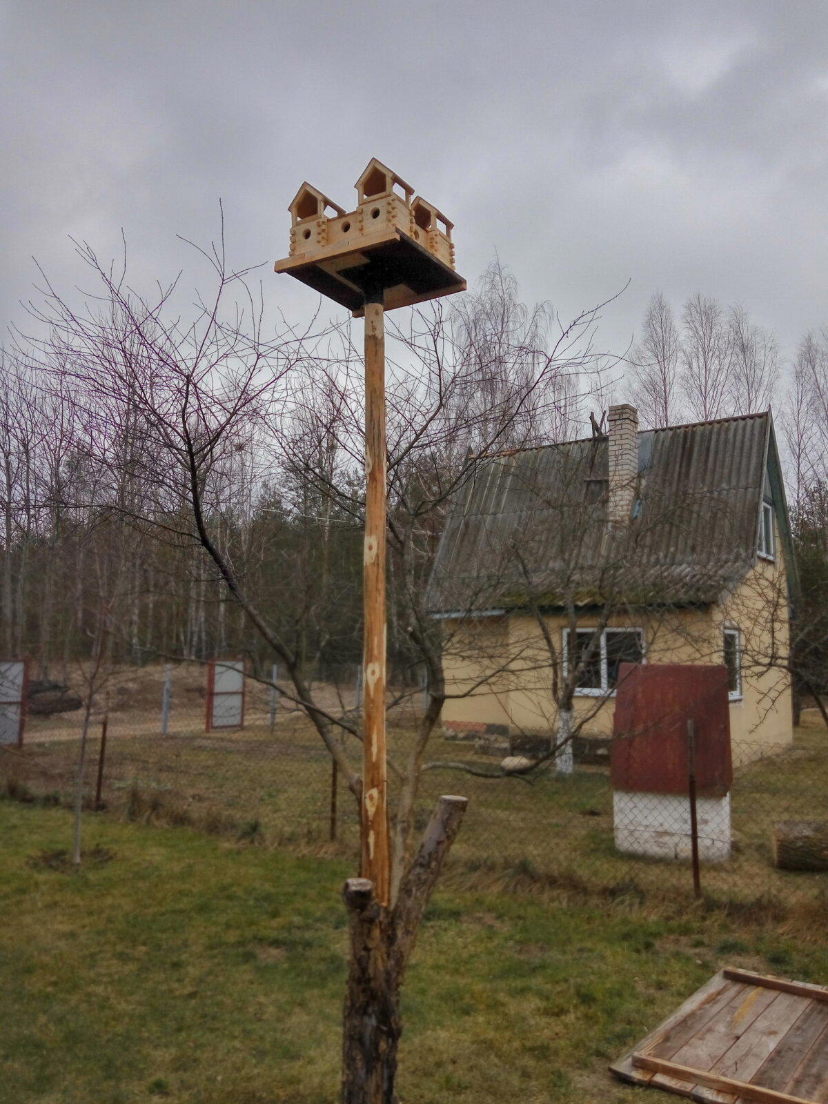 Скворечник - общага