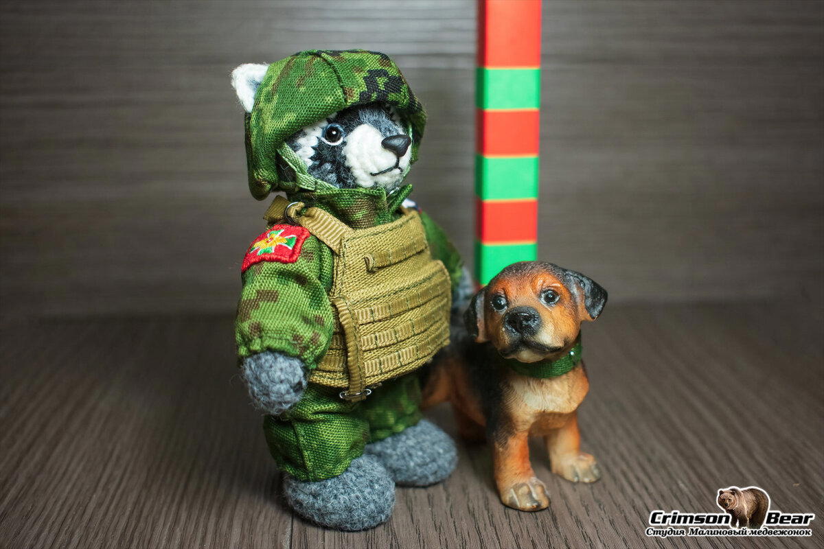 Енот пограничник