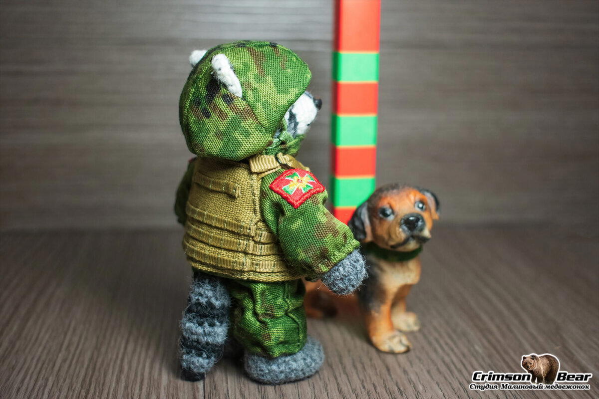Енот пограничник