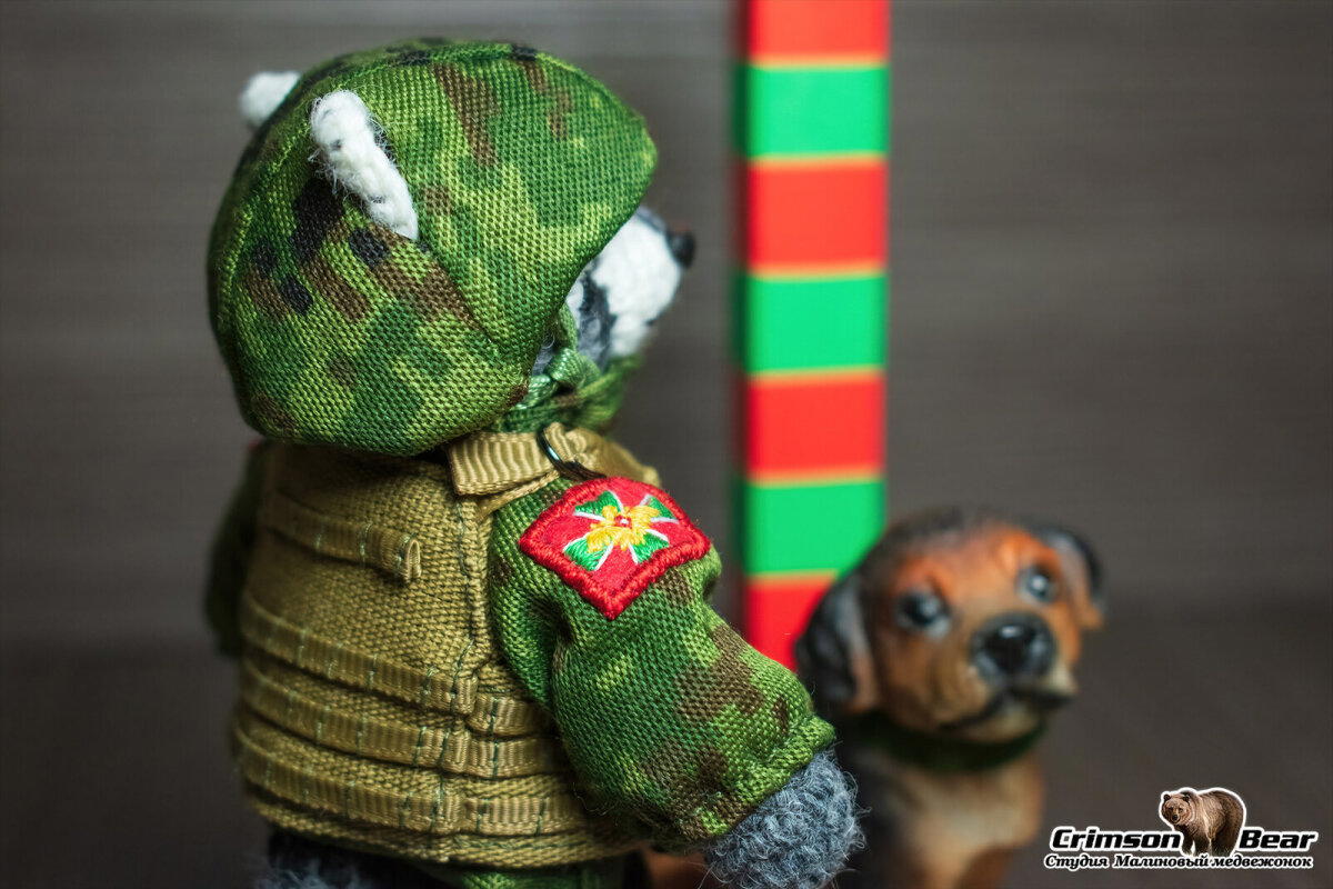 Енот пограничник