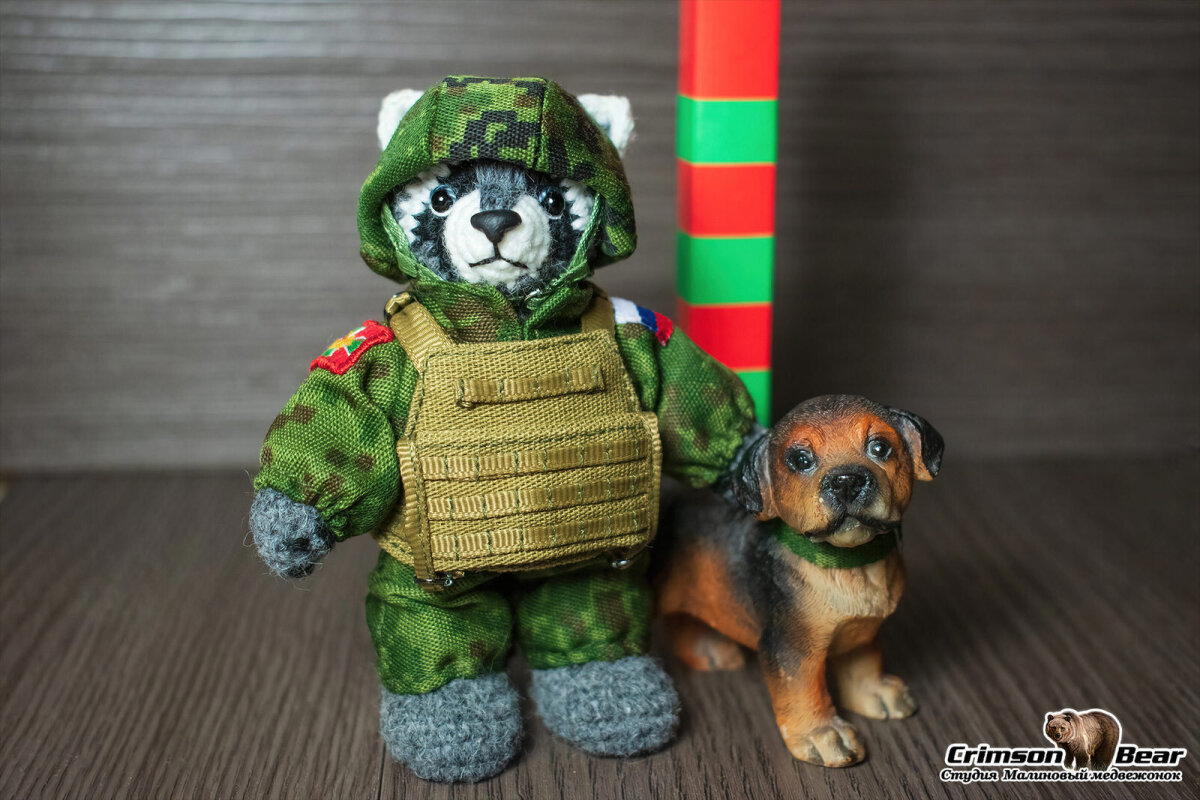 Енот пограничник