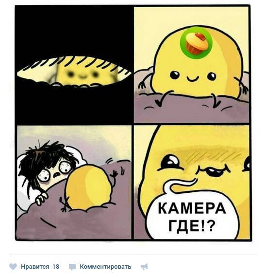 Рита, верни камеру!
