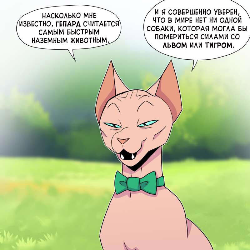Кошки против собак