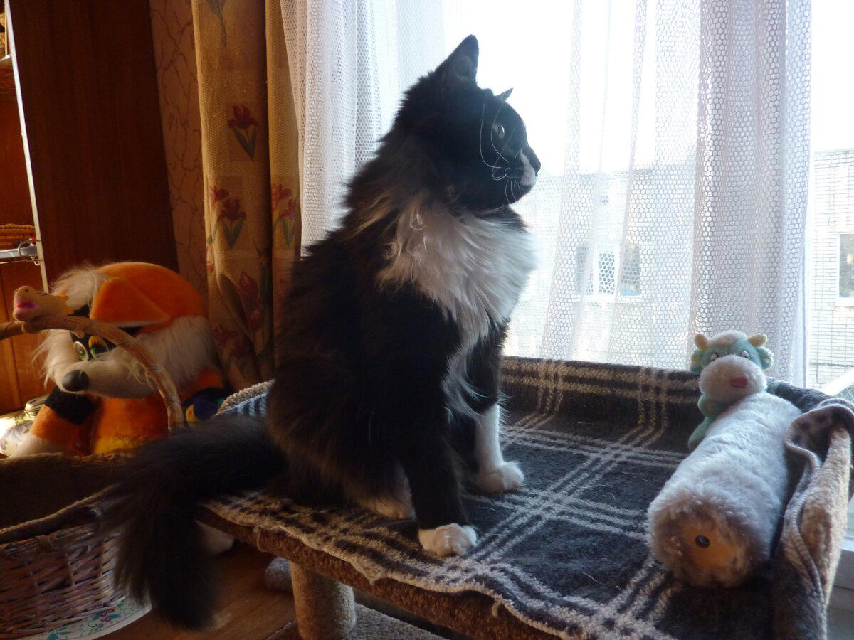 Царь. Здравствуйте, Царь...Котямбус Берлиоз