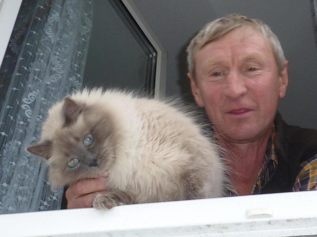 А кошку я вам не отдам!