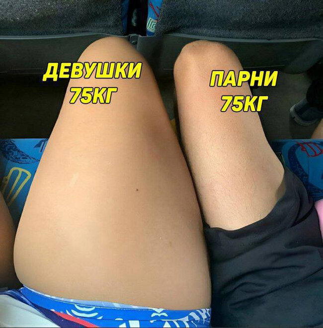 Мы такие разные