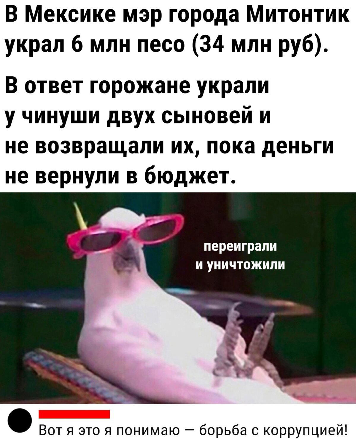 Хола, амиго