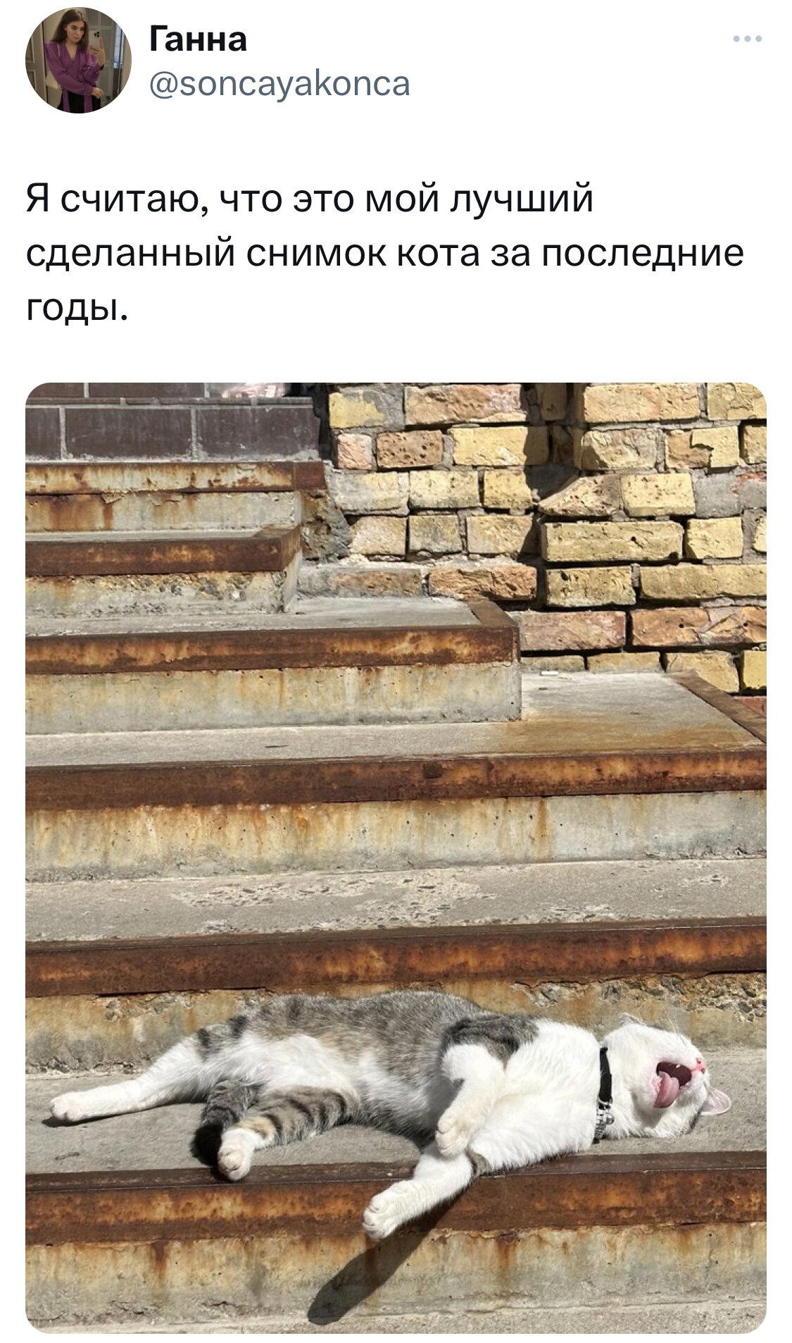 Вне конкуренции