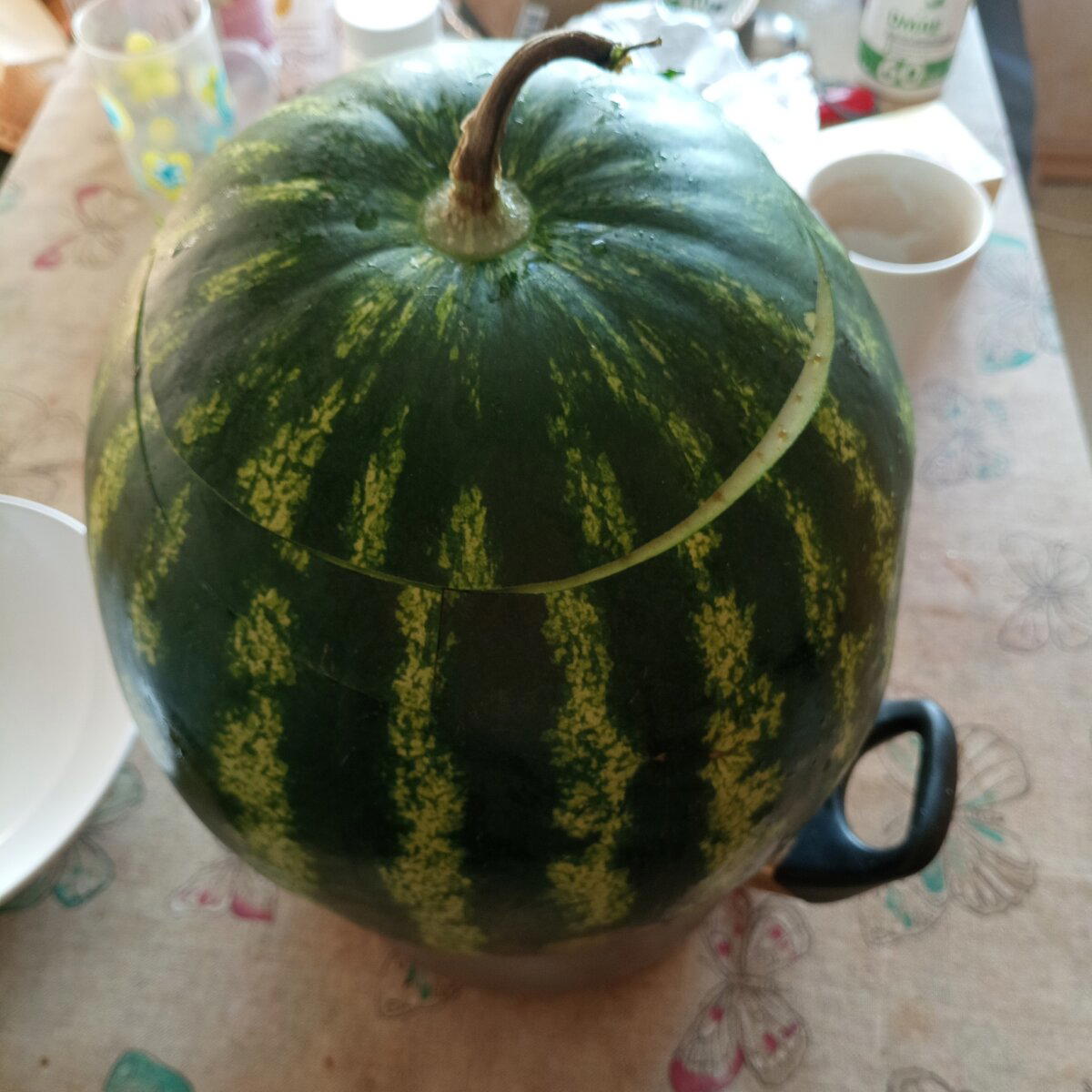 Арбуз из пятёрочки