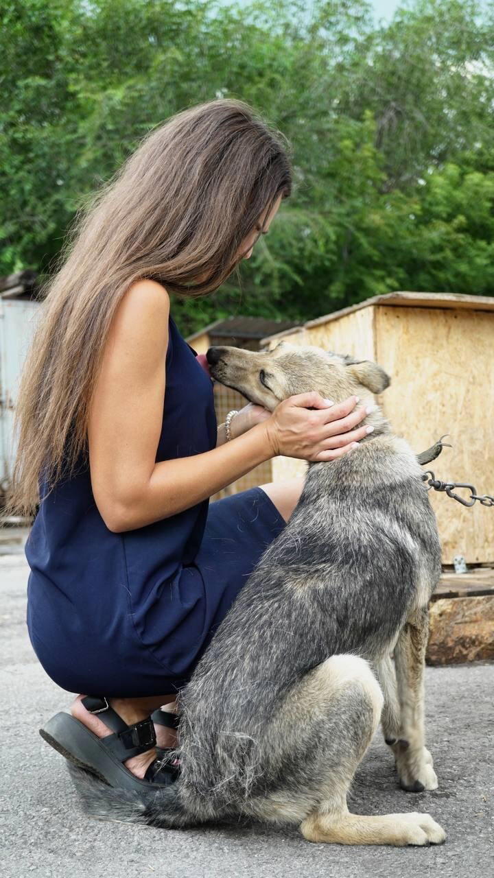 Это я , которая рисую пока рисуется)