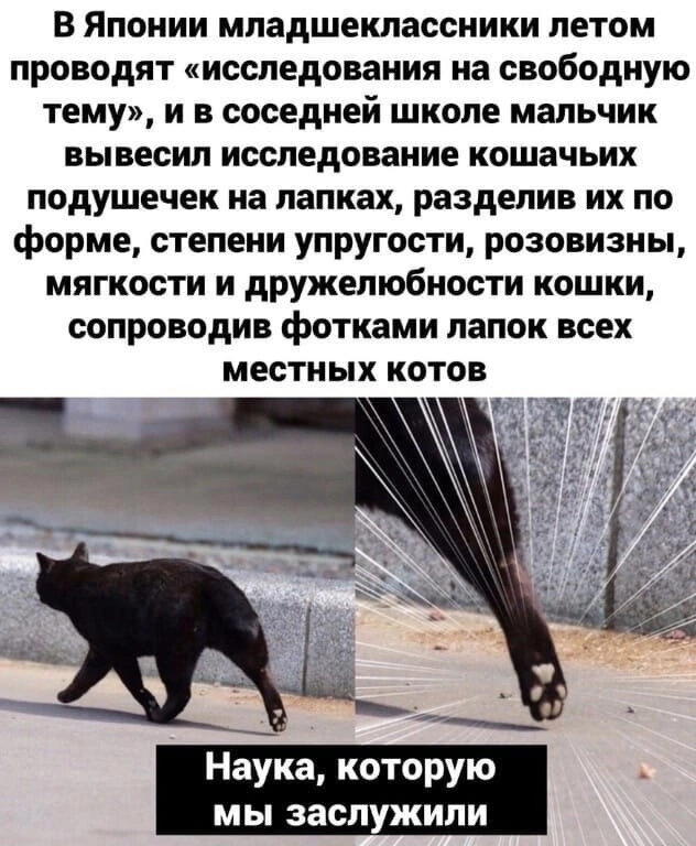 Н - наука
