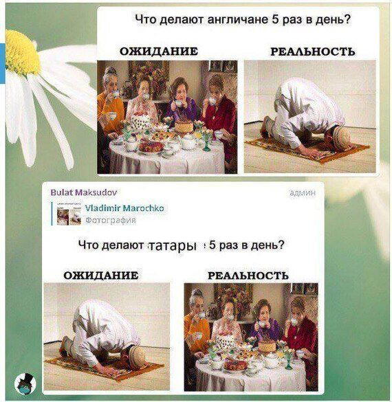 Жизнь как она есть и пить