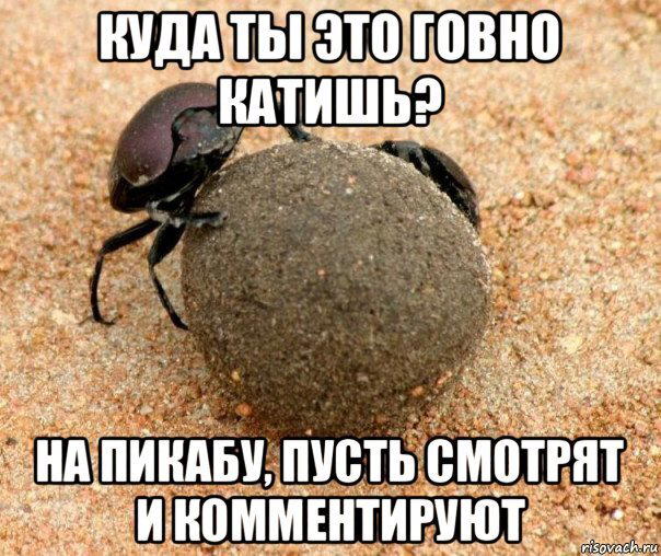 Это не выйдет в горячее 100%