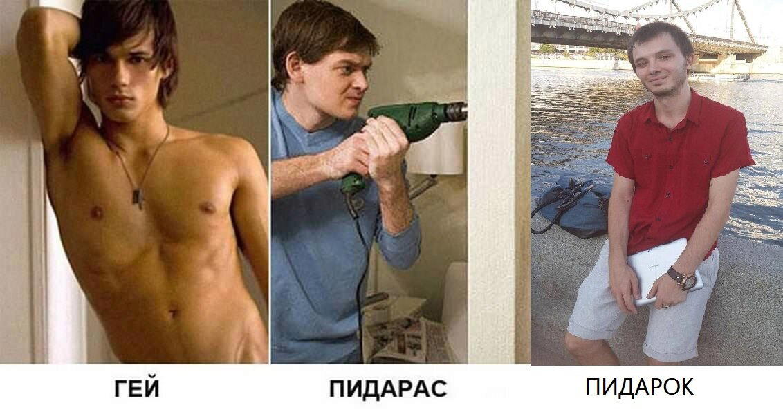 Всем бобра!